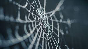 web